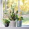 Safer Brand Safer Brand Houseplant Sticky Stakes 16 pk 5026 - alternate 2